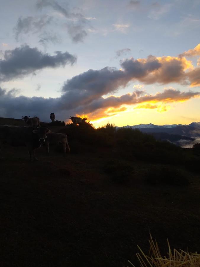 Casa Rural El Enebral En Potes Picos De Euopa Colio Exteriér fotografie